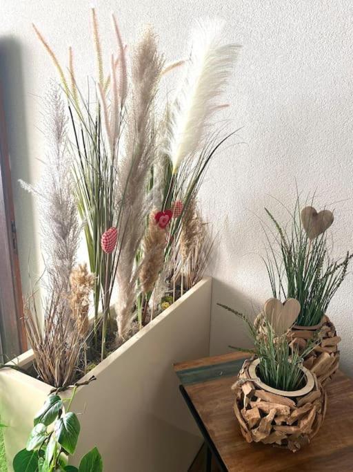 Gite Classe 4 Etoiles  La Maison Du Tonnelier Oberbronn Εξωτερικό φωτογραφία