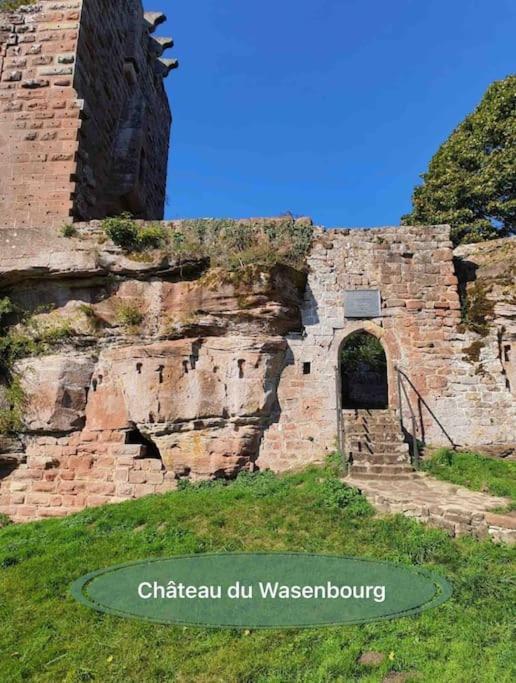 Gite Classe 4 Etoiles  La Maison Du Tonnelier Oberbronn Εξωτερικό φωτογραφία