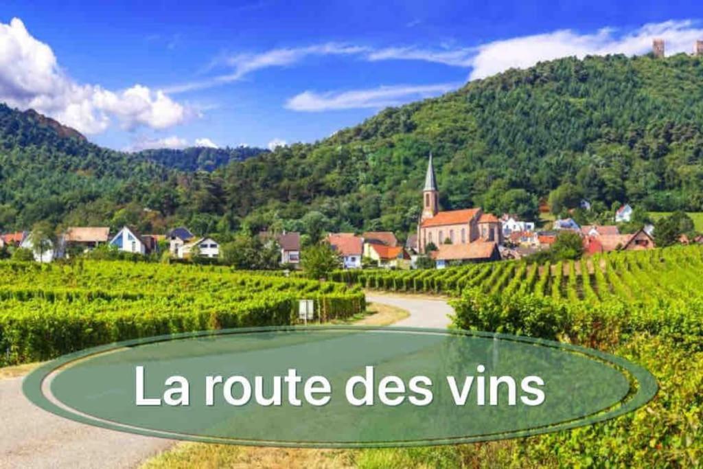 Gite Classe 4 Etoiles  La Maison Du Tonnelier Oberbronn Εξωτερικό φωτογραφία